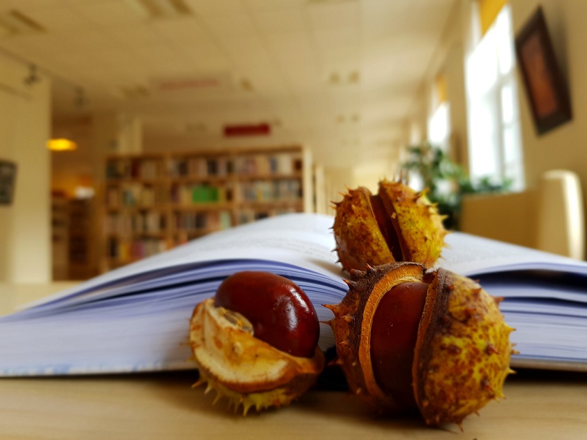 Literāro diskusiju klubiņš turpina darbu Literāro diskusiju klubiņš turpina darbu