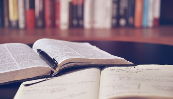 Piešķir finansējumu atbalsta programmas "KultūrELPA" turpināšanai un grāmatu iepirkumam bibliotēkām