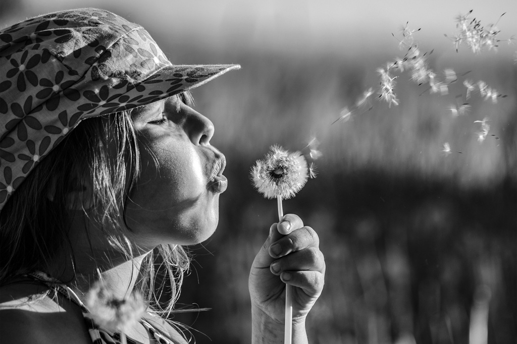 Tikšanās ar izstādes “Laime ir sīkumos” autoriem Gaismas bibliotēkā!