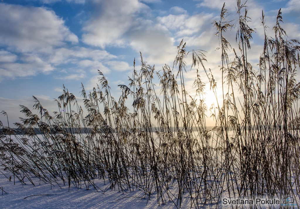 Piekrastes bibliotēkā būs skatāma fotostudijas “Ezerzeme-F” izstāde “Ziemas burvība”