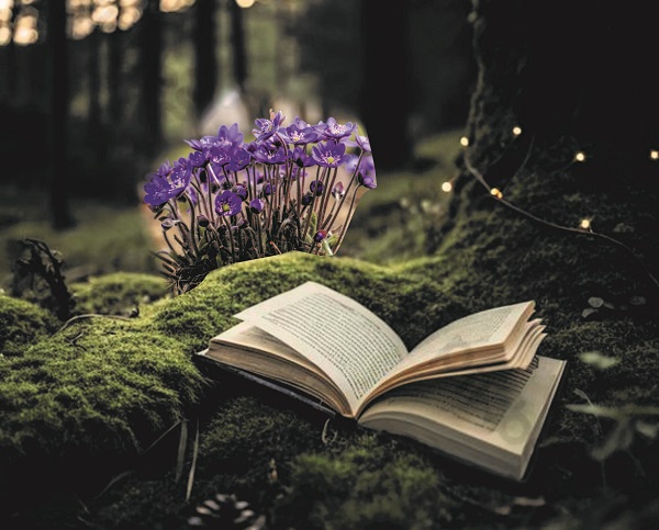 Vai bibliotēkā zied ne tikai grāmatas, bet arī vizbulītes?