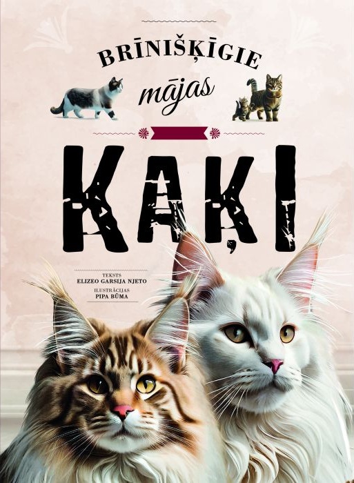 Brīnišķīgie mājas kaķi