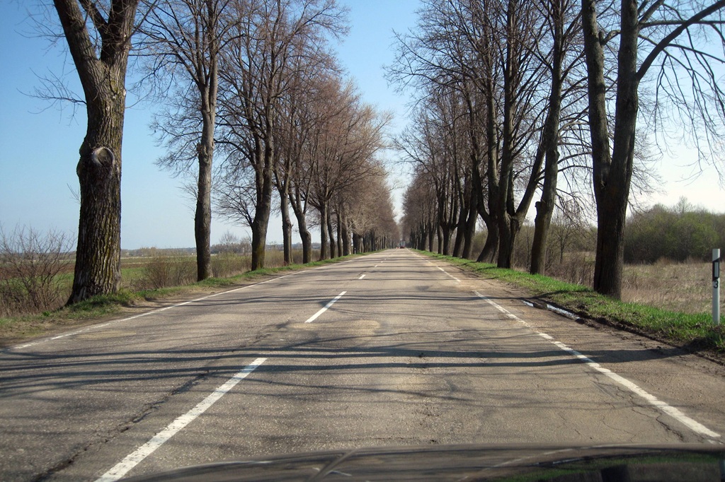 Taisns lauku ceļš, ko abās pusēs klāj bezlapu koki, stiepjas tālumā. Skaidrās zilās debesis rada mierīgu un klusu atmosfēru.