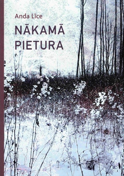 Andas Līces grāmatas "Nākamā Pietura" vāks. Attēlota mierīga ziemas ainava ar augstiem, kailiem kokiem un sniegotu zemi, radot nomierinošu noskaņu.